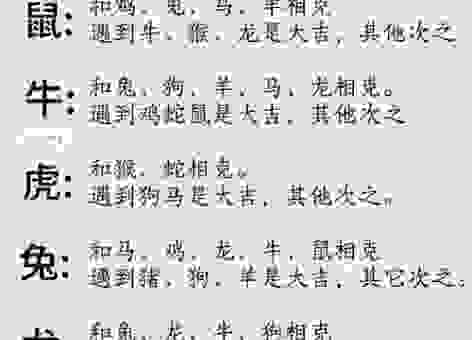 三翻四覆是什么生肖?这些生肖最爱变来变去!