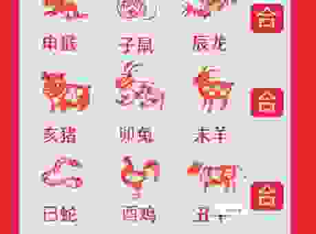 三翻四覆是什么生肖？这些生肖最爱变来变去！