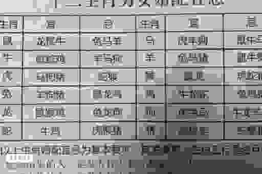 坦腹东床和生肖有什么关系？揭秘背后的故事！
