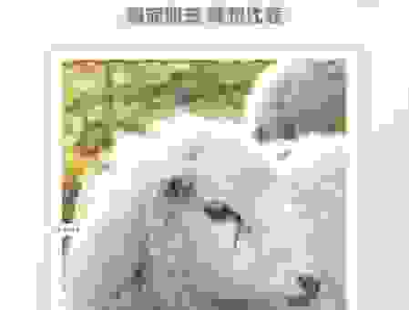 心平气和的人是什么生肖？原来你身边就有！