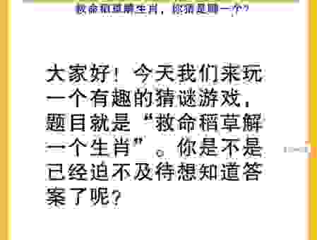 用兵如神打一肖，让你轻松猜中下一个生肖