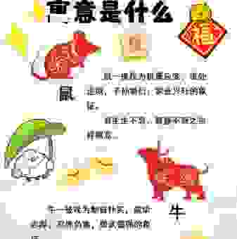 揭秘习焉不察代表什么生肖，最后一个让你想不到！
