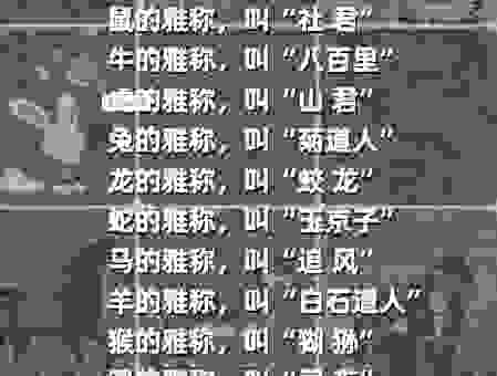 衣香鬓影最准确的生肖是什么？新手一看就懂