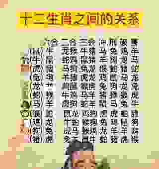 天高云淡猜生肖，这个属相最符合，赶紧来看看。