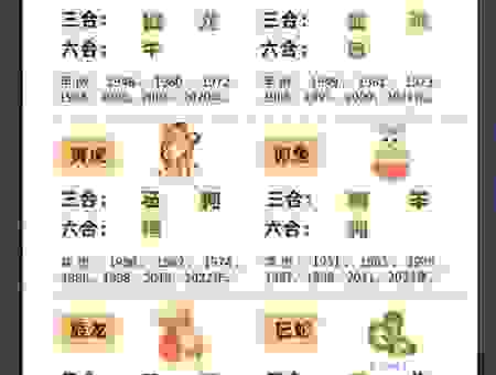 金无足赤打一最佳生肖，揭秘这个神奇动物！