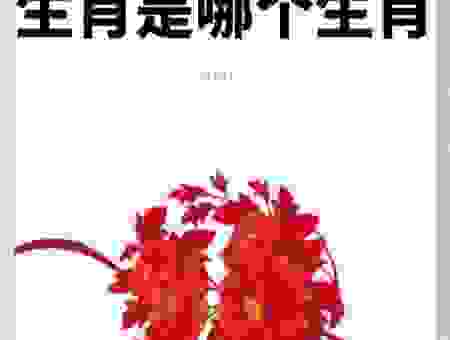 渔人之利指什么生肖数？这几个生肖数字要注意！