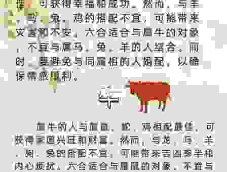 匹夫之勇和生肖有关系吗？探究其中奥秘！