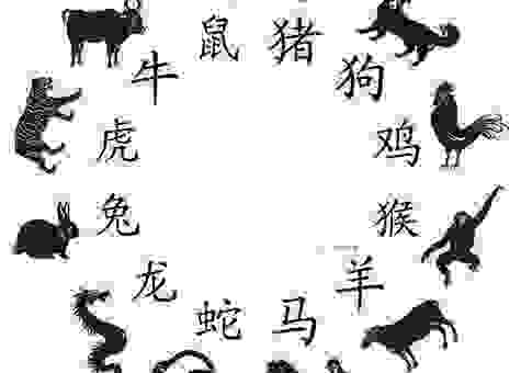 凶相毕露最像哪个生肖?看完答案恍然大悟