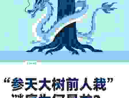 参天大树打一准确生肖是什么？看完你就明白了！