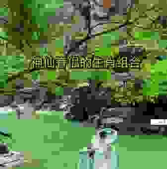 心驰神往打一生肖，你猜对了吗？这个答案很意外！