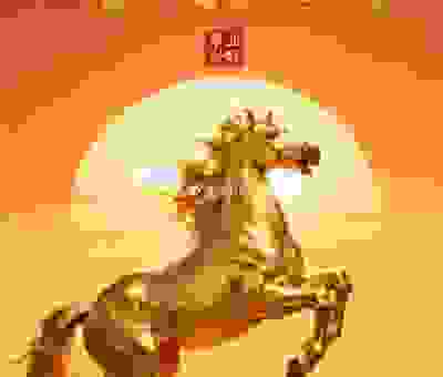 这个生肖风光无限！快来看看是哪个幸运儿！