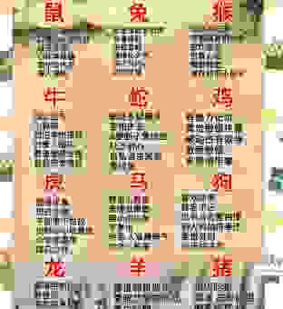 纸醉金迷三大生肖是哪些？这几个生肖最会享受生活