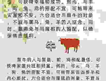 独立难支的生肖如何走出困境?简单几招来帮忙