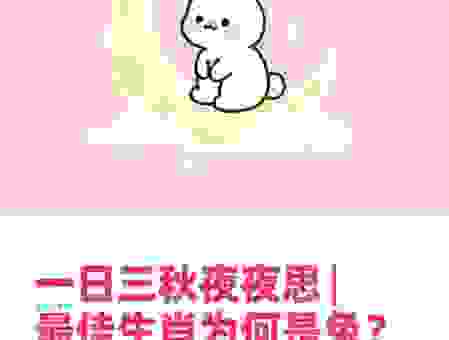 一日三秋夜夜思是什么生肖，原来答案在这里！