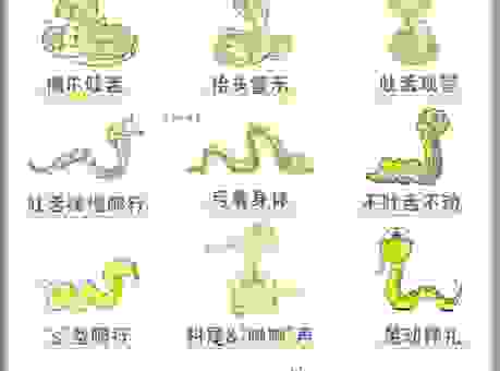 关于螳螂捕蛇打一个生肖动物的秘密，你绝对想不到！