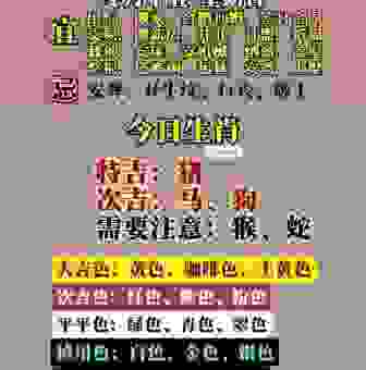 衣香鬓影打最准确一肖，生肖号码预测，小投资大回报！