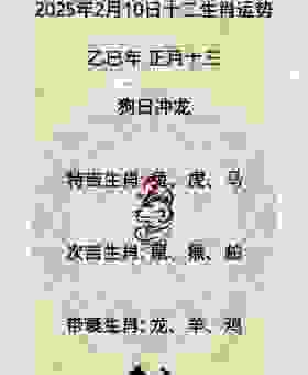 衣香鬓影打最准确一肖,生肖号码预测,小投资大回报!