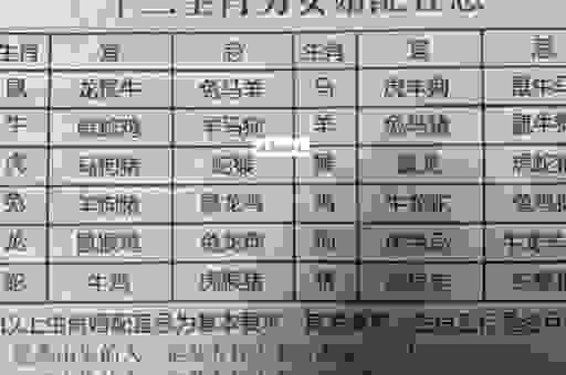关于纸醉金迷十二生肖是谁的疑问？这里有一份完整名单！
