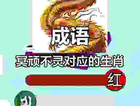 冥顽不灵打一准确生肖，这个动物最不听话！