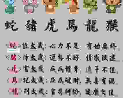 惨雨酸风是什么生肖？生肖专家为你揭秘！