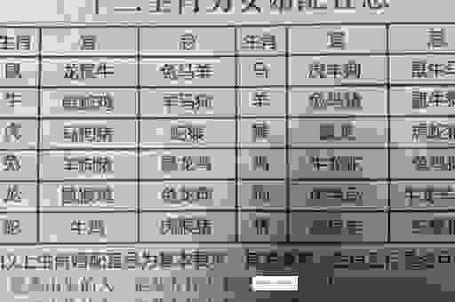 惨雨酸风是什么生肖?生肖专家为你揭秘!