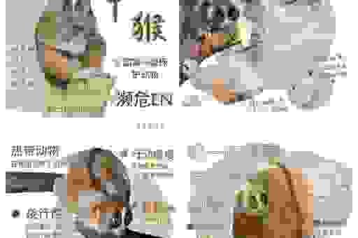 为什么有些生肖特别招蜂引蝶？原因在这里！