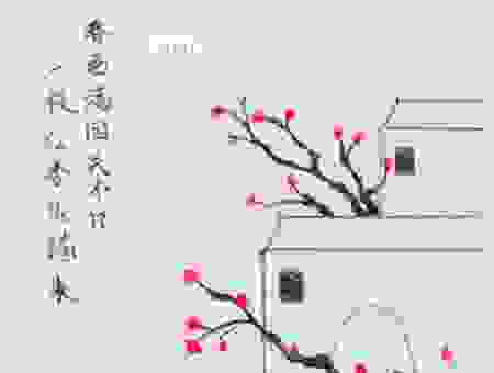 一枝红杏出墙来代表什么生肖？专家解读带你懂！
