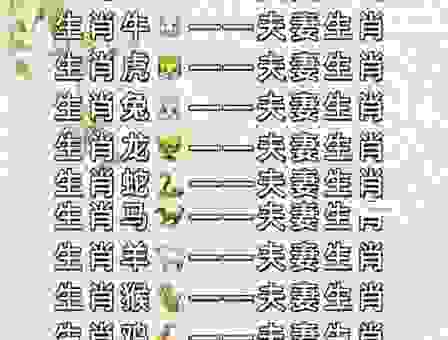 夫妻胶漆相投是什么生肖？告诉你最完美的搭配！