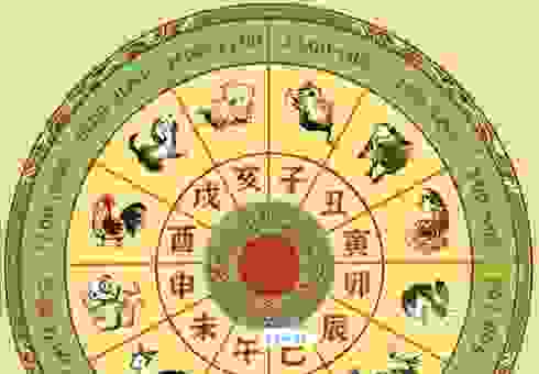悬河注火代表的是什么生肖？原因分析在这里