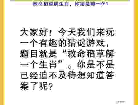 五谷飘香打一生肖，这个生肖你一定猜不到！