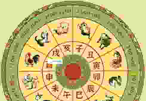 原野速度是什么生肖？和十二生肖的关系