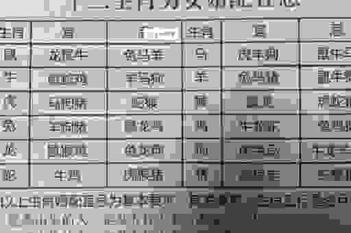 宽宏大量的人是什么生肖？听我慢慢给你分析！