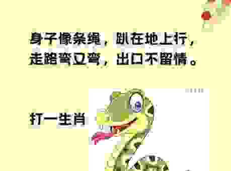 “以狸饵鼠”这个谜语，暗示的是哪一个生肖？