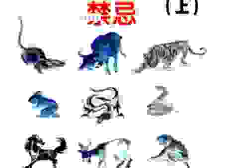 以狸致鼠打一正确生肖的秘密，今天就告诉你！