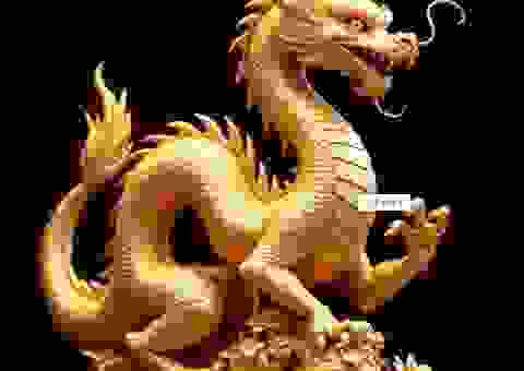 前途无量打一正确生肖，龙的特质让你事半功倍
