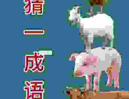 一身是胆打一生肖猜出来是什么？这个动物让人佩服