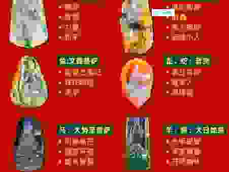 五叶神打一准确生肖是什么？老一辈人都这样说