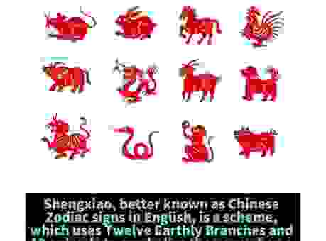 原野速度是什么生肖？告诉你生肖与速度的秘密！