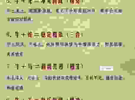 原野速度是什么生肖？告诉你生肖与速度的秘密！
