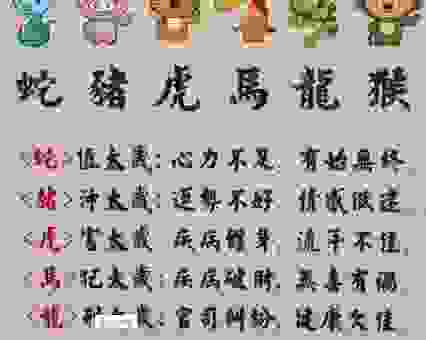 夜深人静是什么生肖？答案可能让你意想不到！