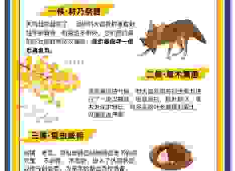 霜降是什么生肖？关于霜降生肖的秘密！