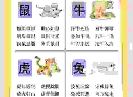 你知道一身是宝的动物打一准确生肖是什么吗？答案在这里！