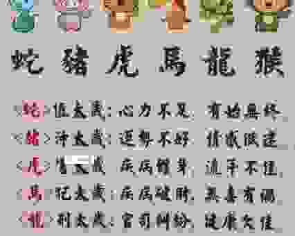两小无猜猜生肖，这个最佳答案你绝对想不到！