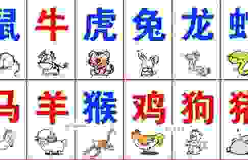 眼高手低是什么生肖？原来是你想象中的那个生肖！