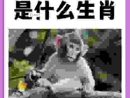 上山下地的动物是什么生肖？快来看看是不是你！