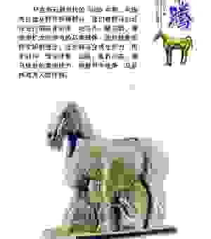 堂内之马是什么意思？揭秘其背后真实含义与文化渊源