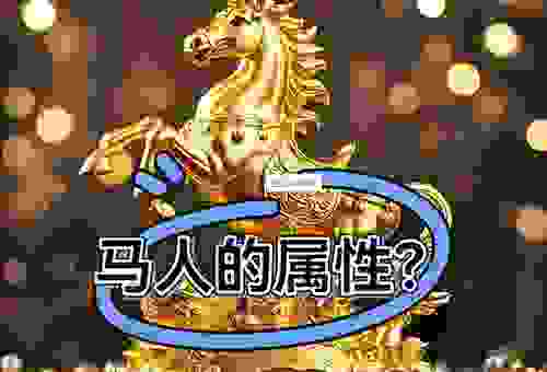 堂内之马是什么意思?揭秘其背后真实含义与文化渊源