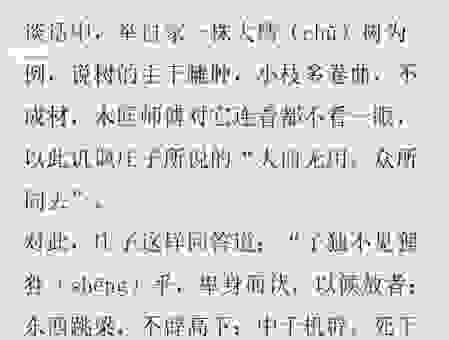 揭秘!跳梁小丑打一生肖,答案藏在其中。