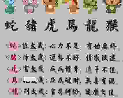 明珠弹雀猜打一最佳代表什么生肖？很多人猜错这个！