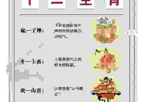 苍黄翻复是哪个生肖的诗意表达？简单明了！